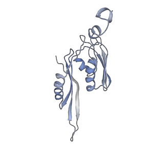 21628_6wd9_J_v1-3
Cryo-EM of elongating ribosome with EF-Tu*GTP elucidates tRNA proofreading (Cognate Structure III-B)