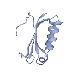 21628_6wd9_K_v1-2
Cryo-EM of elongating ribosome with EF-Tu*GTP elucidates tRNA proofreading (Cognate Structure III-B)