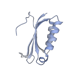 21628_6wd9_K_v1-3
Cryo-EM of elongating ribosome with EF-Tu*GTP elucidates tRNA proofreading (Cognate Structure III-B)