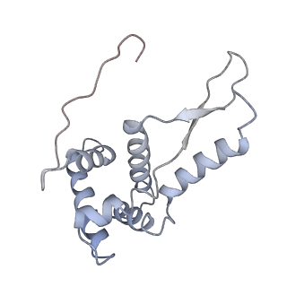 21628_6wd9_L_v1-2
Cryo-EM of elongating ribosome with EF-Tu*GTP elucidates tRNA proofreading (Cognate Structure III-B)