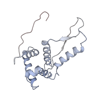 21628_6wd9_L_v1-3
Cryo-EM of elongating ribosome with EF-Tu*GTP elucidates tRNA proofreading (Cognate Structure III-B)