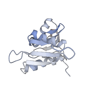 21628_6wd9_M_v1-2
Cryo-EM of elongating ribosome with EF-Tu*GTP elucidates tRNA proofreading (Cognate Structure III-B)