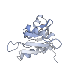 21628_6wd9_M_v1-3
Cryo-EM of elongating ribosome with EF-Tu*GTP elucidates tRNA proofreading (Cognate Structure III-B)