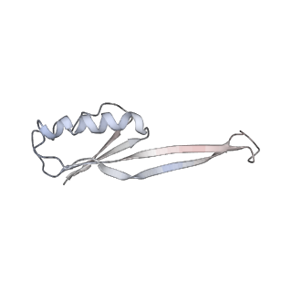 21628_6wd9_O_v1-3
Cryo-EM of elongating ribosome with EF-Tu*GTP elucidates tRNA proofreading (Cognate Structure III-B)