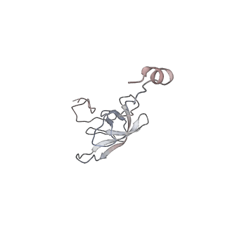 21628_6wd9_Q_v1-2
Cryo-EM of elongating ribosome with EF-Tu*GTP elucidates tRNA proofreading (Cognate Structure III-B)