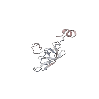 21628_6wd9_Q_v1-3
Cryo-EM of elongating ribosome with EF-Tu*GTP elucidates tRNA proofreading (Cognate Structure III-B)