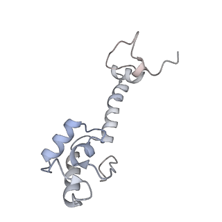 21628_6wd9_R_v1-2
Cryo-EM of elongating ribosome with EF-Tu*GTP elucidates tRNA proofreading (Cognate Structure III-B)