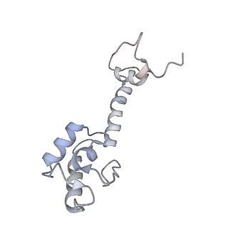 21628_6wd9_R_v1-3
Cryo-EM of elongating ribosome with EF-Tu*GTP elucidates tRNA proofreading (Cognate Structure III-B)