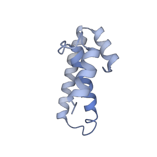 21628_6wd9_T_v1-3
Cryo-EM of elongating ribosome with EF-Tu*GTP elucidates tRNA proofreading (Cognate Structure III-B)