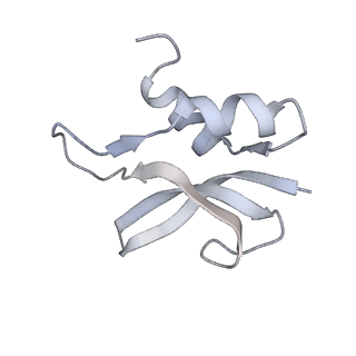 21628_6wd9_U_v1-2
Cryo-EM of elongating ribosome with EF-Tu*GTP elucidates tRNA proofreading (Cognate Structure III-B)