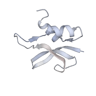 21628_6wd9_U_v1-3
Cryo-EM of elongating ribosome with EF-Tu*GTP elucidates tRNA proofreading (Cognate Structure III-B)