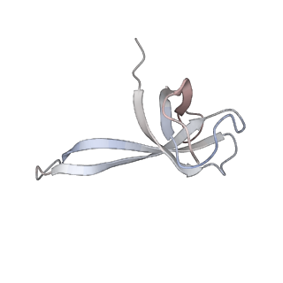 21628_6wd9_V_v1-2
Cryo-EM of elongating ribosome with EF-Tu*GTP elucidates tRNA proofreading (Cognate Structure III-B)
