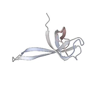 21628_6wd9_V_v1-3
Cryo-EM of elongating ribosome with EF-Tu*GTP elucidates tRNA proofreading (Cognate Structure III-B)