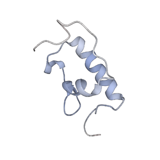21628_6wd9_W_v1-2
Cryo-EM of elongating ribosome with EF-Tu*GTP elucidates tRNA proofreading (Cognate Structure III-B)