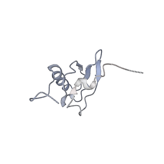 21628_6wd9_X_v1-2
Cryo-EM of elongating ribosome with EF-Tu*GTP elucidates tRNA proofreading (Cognate Structure III-B)