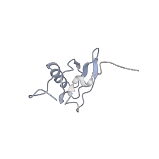 21628_6wd9_X_v1-3
Cryo-EM of elongating ribosome with EF-Tu*GTP elucidates tRNA proofreading (Cognate Structure III-B)