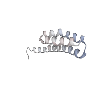 21628_6wd9_Y_v1-3
Cryo-EM of elongating ribosome with EF-Tu*GTP elucidates tRNA proofreading (Cognate Structure III-B)