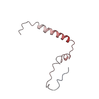 21628_6wd9_Z_v1-2
Cryo-EM of elongating ribosome with EF-Tu*GTP elucidates tRNA proofreading (Cognate Structure III-B)