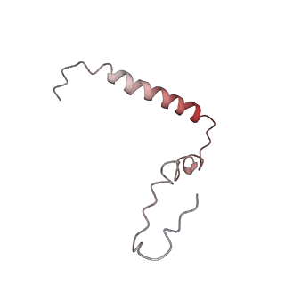 21628_6wd9_Z_v1-3
Cryo-EM of elongating ribosome with EF-Tu*GTP elucidates tRNA proofreading (Cognate Structure III-B)