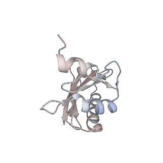 21628_6wd9_a_v1-2
Cryo-EM of elongating ribosome with EF-Tu*GTP elucidates tRNA proofreading (Cognate Structure III-B)