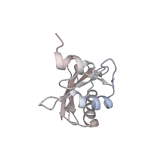 21628_6wd9_a_v1-3
Cryo-EM of elongating ribosome with EF-Tu*GTP elucidates tRNA proofreading (Cognate Structure III-B)