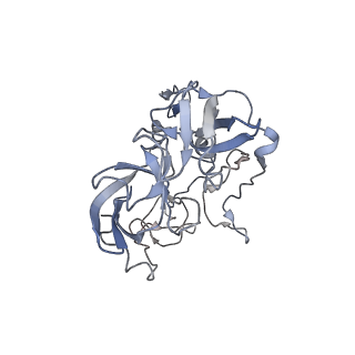 21628_6wd9_b_v1-3
Cryo-EM of elongating ribosome with EF-Tu*GTP elucidates tRNA proofreading (Cognate Structure III-B)