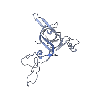21628_6wd9_c_v1-2
Cryo-EM of elongating ribosome with EF-Tu*GTP elucidates tRNA proofreading (Cognate Structure III-B)
