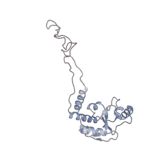 21628_6wd9_d_v1-2
Cryo-EM of elongating ribosome with EF-Tu*GTP elucidates tRNA proofreading (Cognate Structure III-B)