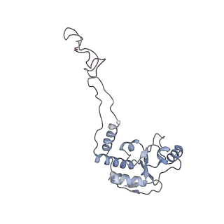 21628_6wd9_d_v1-3
Cryo-EM of elongating ribosome with EF-Tu*GTP elucidates tRNA proofreading (Cognate Structure III-B)