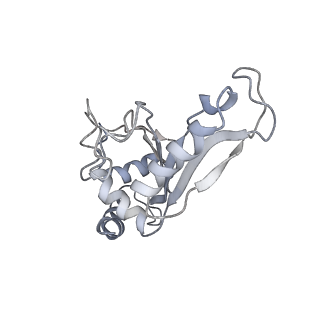 21628_6wd9_e_v1-2
Cryo-EM of elongating ribosome with EF-Tu*GTP elucidates tRNA proofreading (Cognate Structure III-B)