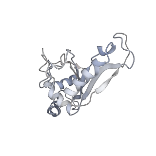 21628_6wd9_e_v1-3
Cryo-EM of elongating ribosome with EF-Tu*GTP elucidates tRNA proofreading (Cognate Structure III-B)