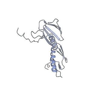 21628_6wd9_f_v1-2
Cryo-EM of elongating ribosome with EF-Tu*GTP elucidates tRNA proofreading (Cognate Structure III-B)