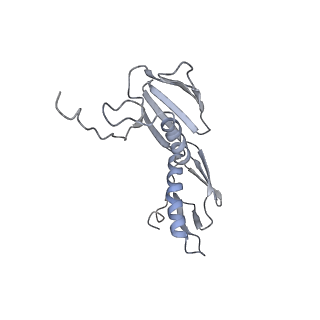 21628_6wd9_f_v1-3
Cryo-EM of elongating ribosome with EF-Tu*GTP elucidates tRNA proofreading (Cognate Structure III-B)