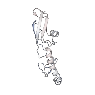 21628_6wd9_g_v1-2
Cryo-EM of elongating ribosome with EF-Tu*GTP elucidates tRNA proofreading (Cognate Structure III-B)