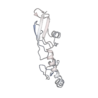 21628_6wd9_g_v1-3
Cryo-EM of elongating ribosome with EF-Tu*GTP elucidates tRNA proofreading (Cognate Structure III-B)