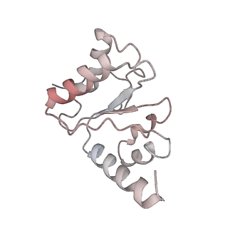 21628_6wd9_h_v1-2
Cryo-EM of elongating ribosome with EF-Tu*GTP elucidates tRNA proofreading (Cognate Structure III-B)