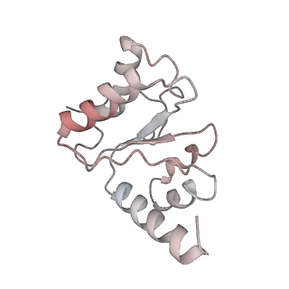 21628_6wd9_h_v1-3
Cryo-EM of elongating ribosome with EF-Tu*GTP elucidates tRNA proofreading (Cognate Structure III-B)