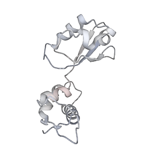 21628_6wd9_i_v1-2
Cryo-EM of elongating ribosome with EF-Tu*GTP elucidates tRNA proofreading (Cognate Structure III-B)
