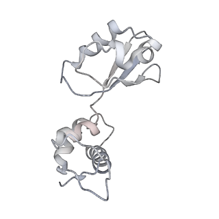 21628_6wd9_i_v1-3
Cryo-EM of elongating ribosome with EF-Tu*GTP elucidates tRNA proofreading (Cognate Structure III-B)