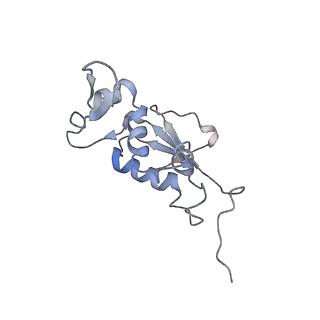 21628_6wd9_j_v1-2
Cryo-EM of elongating ribosome with EF-Tu*GTP elucidates tRNA proofreading (Cognate Structure III-B)