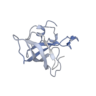 21628_6wd9_k_v1-2
Cryo-EM of elongating ribosome with EF-Tu*GTP elucidates tRNA proofreading (Cognate Structure III-B)