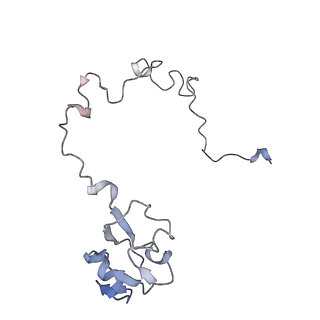 21628_6wd9_l_v1-2
Cryo-EM of elongating ribosome with EF-Tu*GTP elucidates tRNA proofreading (Cognate Structure III-B)