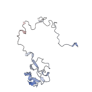 21628_6wd9_l_v1-3
Cryo-EM of elongating ribosome with EF-Tu*GTP elucidates tRNA proofreading (Cognate Structure III-B)