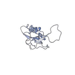 21628_6wd9_m_v1-3
Cryo-EM of elongating ribosome with EF-Tu*GTP elucidates tRNA proofreading (Cognate Structure III-B)