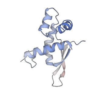21628_6wd9_n_v1-2
Cryo-EM of elongating ribosome with EF-Tu*GTP elucidates tRNA proofreading (Cognate Structure III-B)
