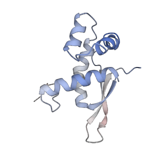 21628_6wd9_n_v1-3
Cryo-EM of elongating ribosome with EF-Tu*GTP elucidates tRNA proofreading (Cognate Structure III-B)