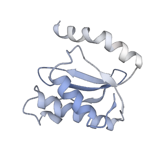 21628_6wd9_o_v1-2
Cryo-EM of elongating ribosome with EF-Tu*GTP elucidates tRNA proofreading (Cognate Structure III-B)