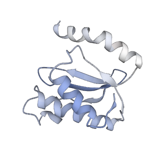 21628_6wd9_o_v1-3
Cryo-EM of elongating ribosome with EF-Tu*GTP elucidates tRNA proofreading (Cognate Structure III-B)