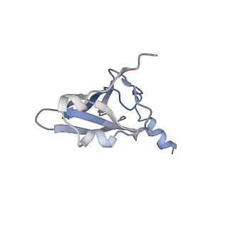 21628_6wd9_p_v1-2
Cryo-EM of elongating ribosome with EF-Tu*GTP elucidates tRNA proofreading (Cognate Structure III-B)