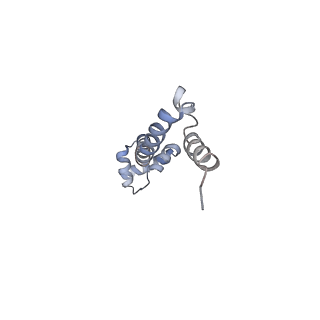 21628_6wd9_q_v1-2
Cryo-EM of elongating ribosome with EF-Tu*GTP elucidates tRNA proofreading (Cognate Structure III-B)